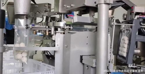 全套魚丸加工設(shè)備自動(dòng)生產(chǎn)魚圓的工藝制作流程